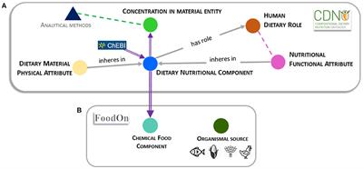 Establishing a Common Nutritional Vocabulary - From Food Production to Diet